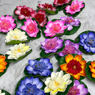 Floating Lily - with flower