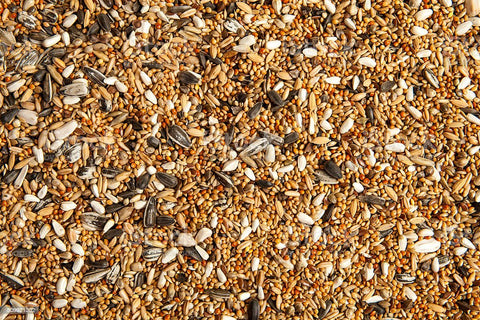 BIRD/CHICKEN SEED 2KG
