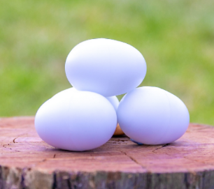 False Chook Eggs